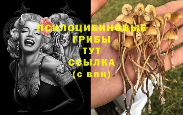 мяу мяу мука Осинники