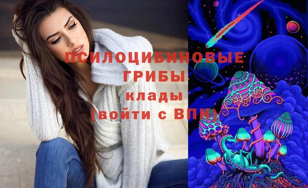 бутират Няндома