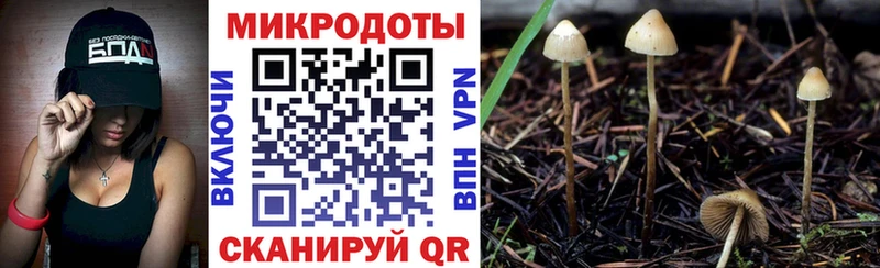 Псилоцибиновые грибы прущие грибы  кракен tor  Кингисепп 