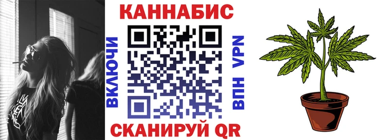 Каннабис конопля  Кингисепп 
